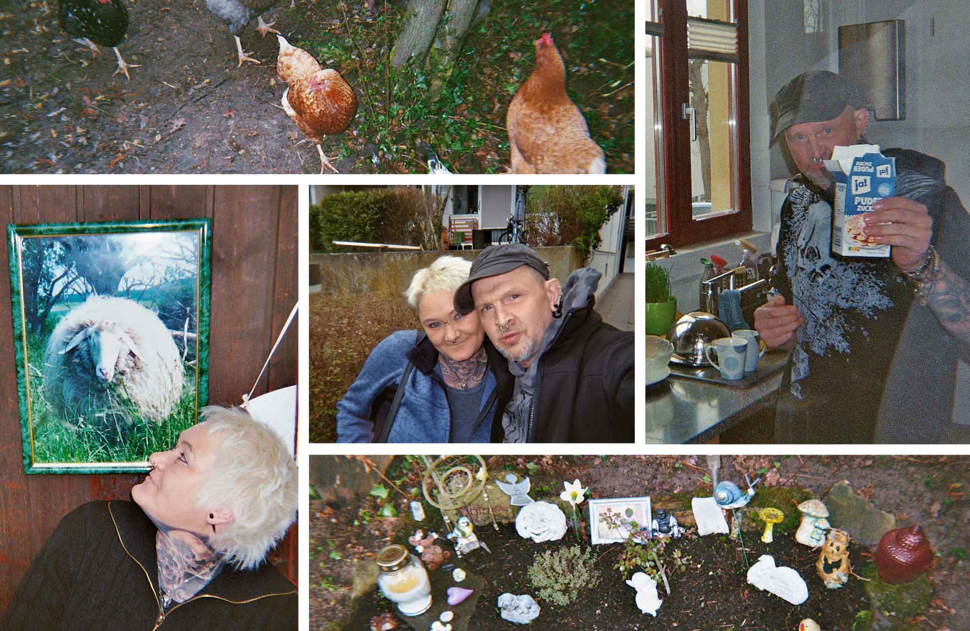 Collage-Nobby